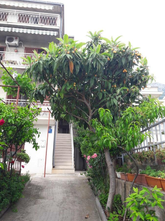 Apartman Adriatic Pavlinovic - ماكارسكا المظهر الخارجي الصورة