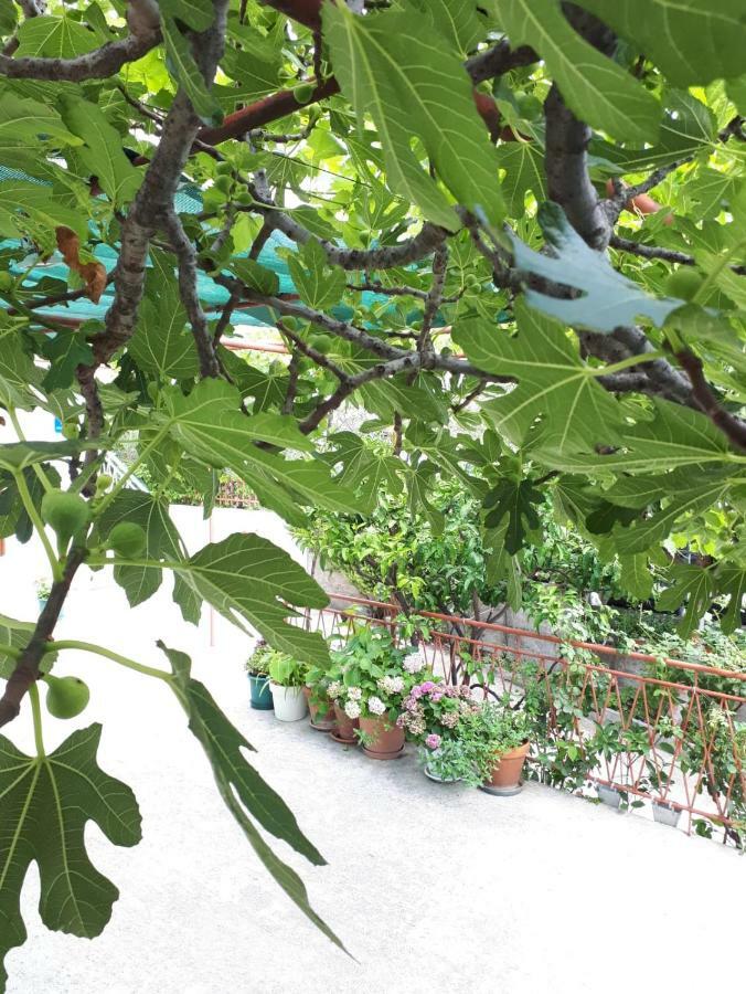 Apartman Adriatic Pavlinovic - ماكارسكا المظهر الخارجي الصورة